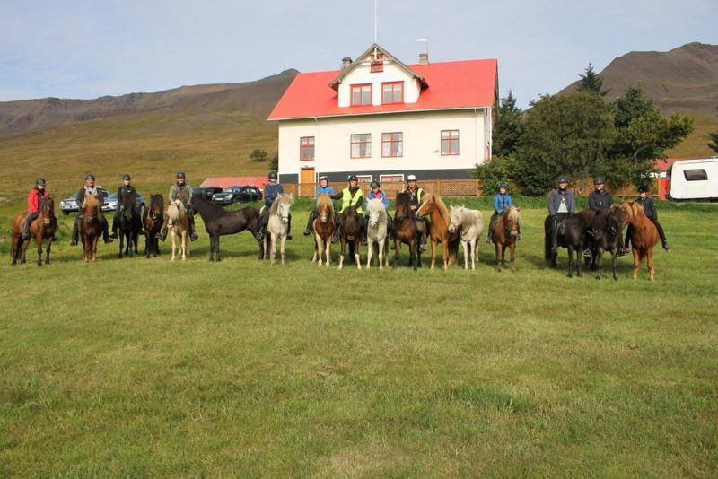 布伦迪欧斯Ferthaþjonustan Geitaskarthi住宿加早餐旅馆 外观 照片